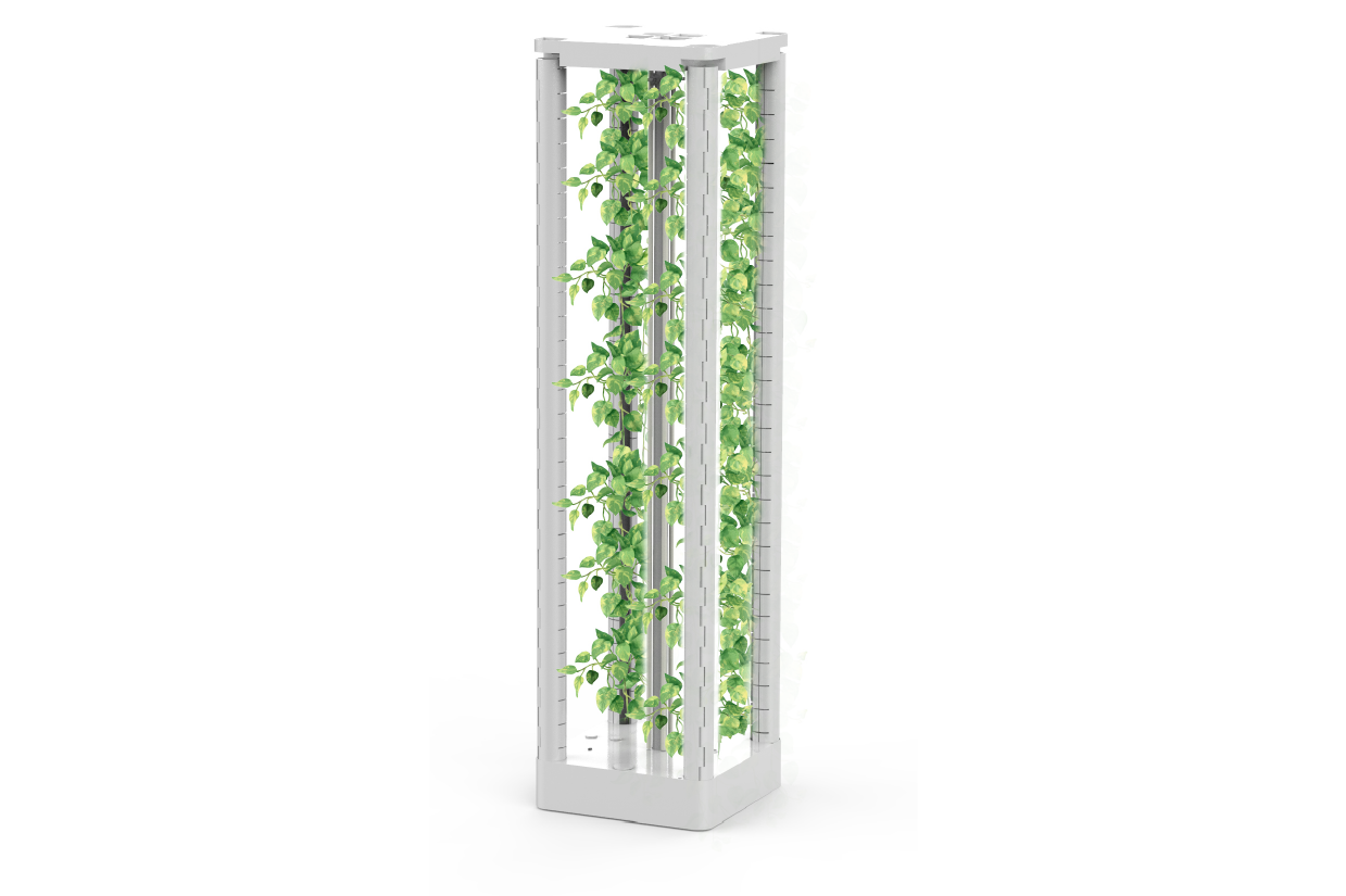 Tie Grow